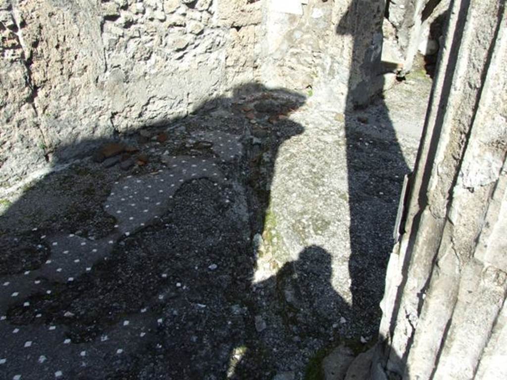 VI.8.21. Pompeii.  March 2009.  Atrium.  Remains of  floor.