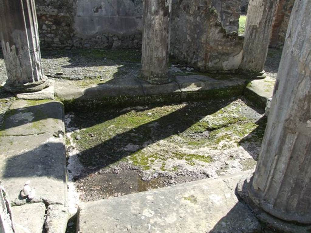 VI.8.21 Pompeii. March 2009. Impluvium in atrium.