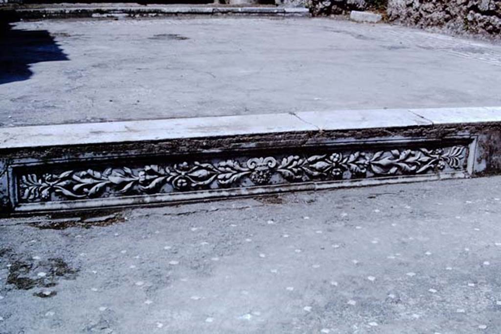 VI.8.23 Pompeii. 1966.  Decorative panelled step from atrium to tablinum. Photo by Stanley A. Jashemski.
Source: The Wilhelmina and Stanley A. Jashemski archive in the University of Maryland Library, Special Collections (See collection page) and made available under the Creative Commons Attribution-Non Commercial License v.4. See Licence and use details.
J66f0387

