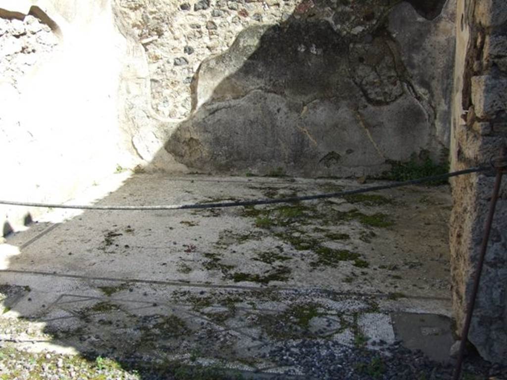 VI.9.2 Pompeii.   March 2009.  Room 25.  Mosaic floor.