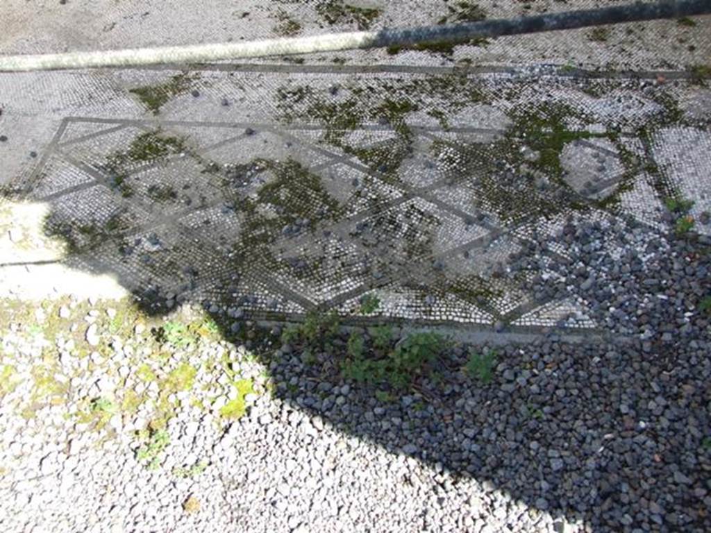 VI.9.2 Pompeii.   March 2009.  Room 25.  Mosaic floor threshold.