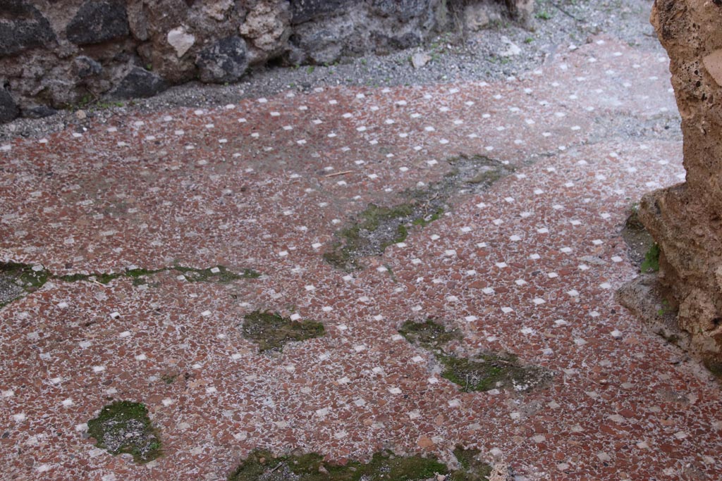 VI.9.4 Pompeii. October 2022. Room 15, detail of flooring in south-east corner. Photo courtesy of Klaus Heese.

