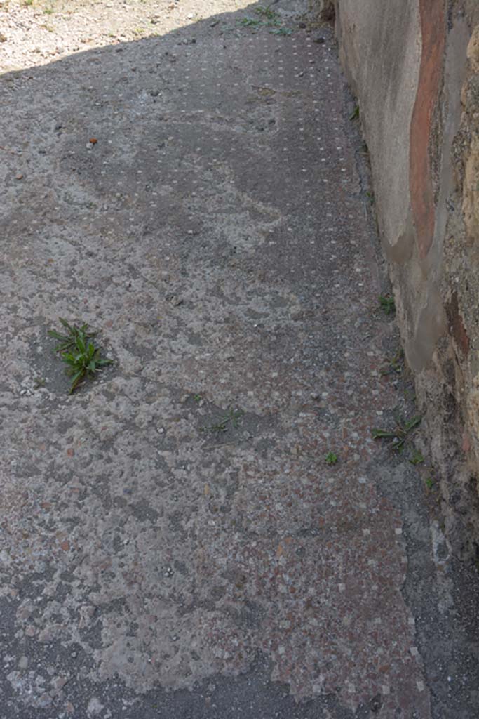 VI.9.5 Pompeii. July 2017. Room 14, detail of flooring on south side. 
Foto Annette Haug, ERC Grant 681269 DÉCOR.
