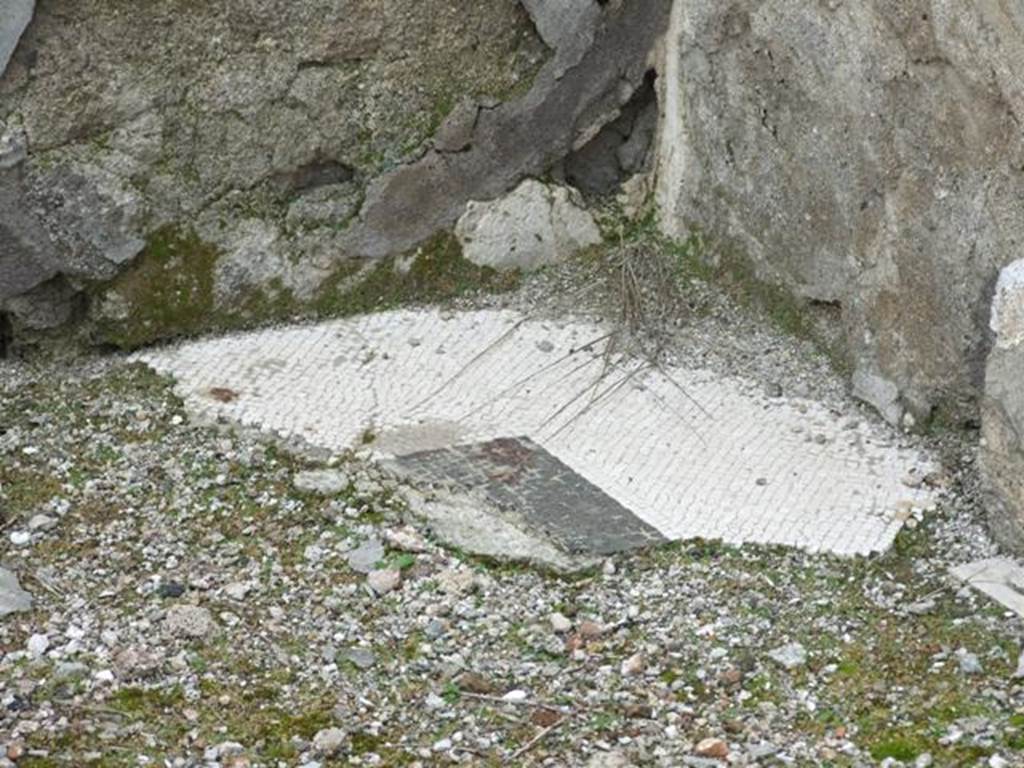 VI.10.7 Pompeii. March 2009. Room 1,mosaic in north-west corner of atrium, between room 3 and room 4.