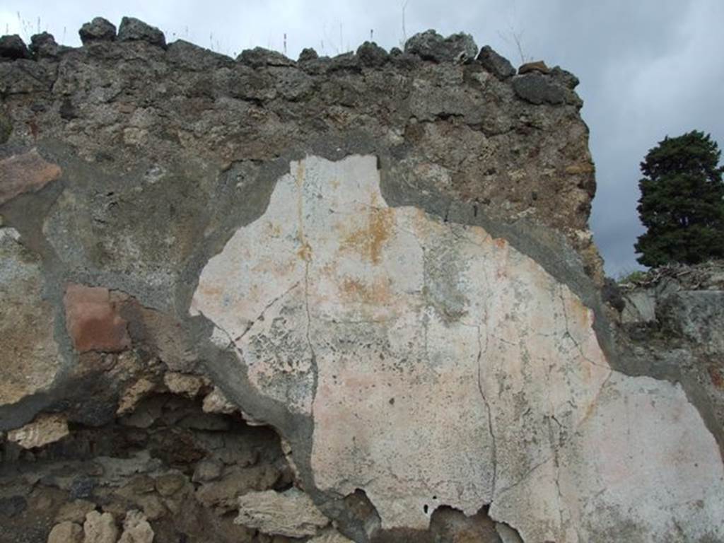 VI.10.7 Pompeii. March 2009. Room 8, north wall of tablinum, with remains of painted plaster. According to Bragantini, although the dado was faded and colour unrecognisable, the walls would have been red and divided into panels. The central panel would have had the painting of Adonis.
See Bragantini, de Vos, Badoni, 1983. Pitture e Pavimenti di Pompei, Parte 2. Rome: ICCD. (p.232, tablinum 4)
