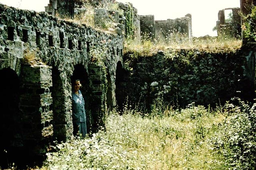 VI.10.7 Pompeii. 1957. Tatiana Warscher in the doorway in the north-west corner of the garden area, looking west towards atrium, on upper level. Photo by Stanley A. Jashemski.
Source: The Wilhelmina and Stanley A. Jashemski archive in the University of Maryland Library, Special Collections (See collection page) and made available under the Creative Commons Attribution-Non Commercial License v.4. See Licence and use details. J57f0182

