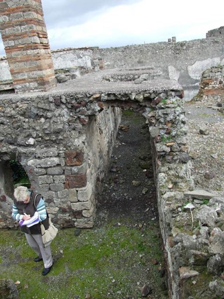 VI.10.7 Pompeii. March 2009.  Looking east across corridor behind garden, on south side.
