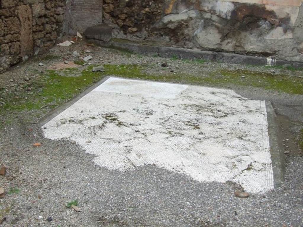 VI.10.11 Pompeii.  March 2009.  Room 8.  Tablinum.  Mosaic floor.