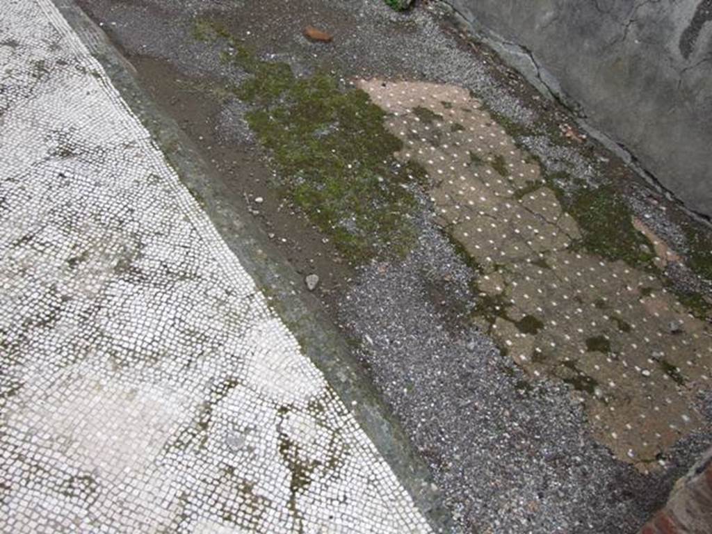 VI.10.11 Pompeii. March 2009. Room 8, black and white mosaic floor in tablinum, with a black border.  Surrounding the mosaic floor was a cocciopesto floor, with white stone dotted pattern.

