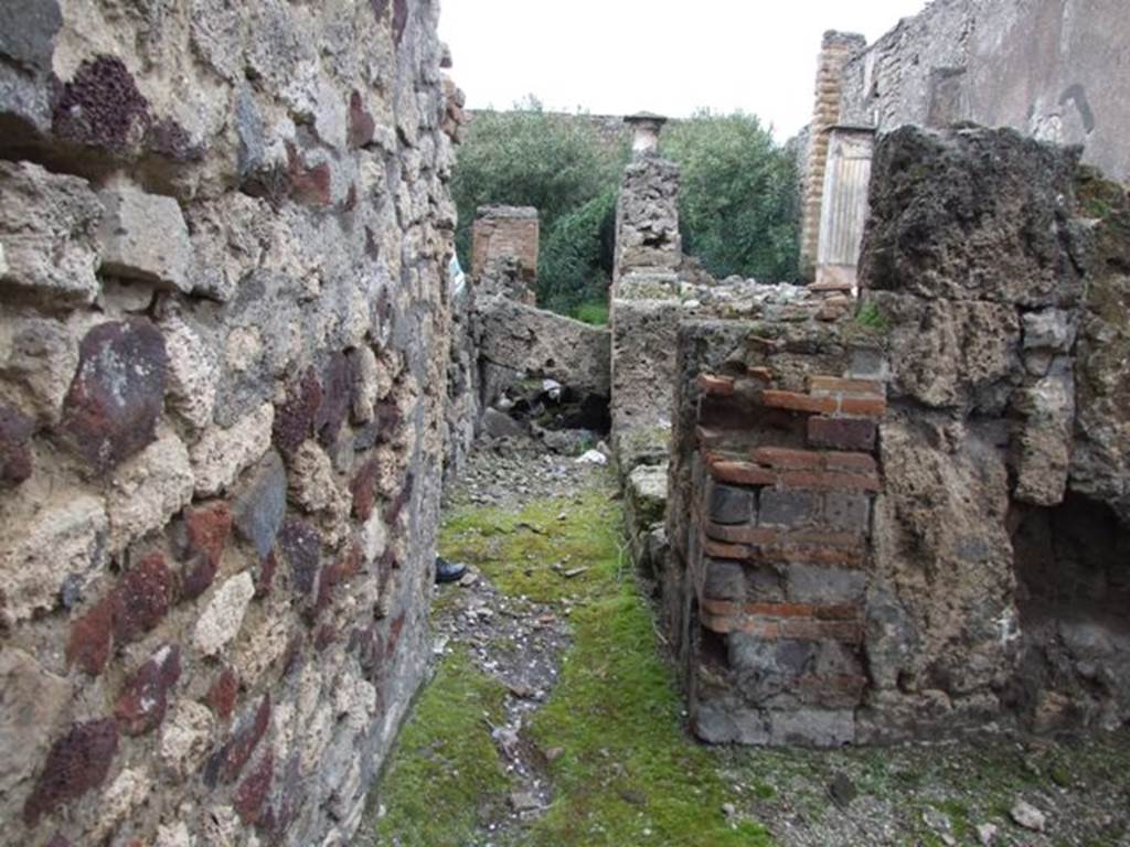 VI.10.11 Pompeii.  March 2009.  Room 14.  Corridor to rear.