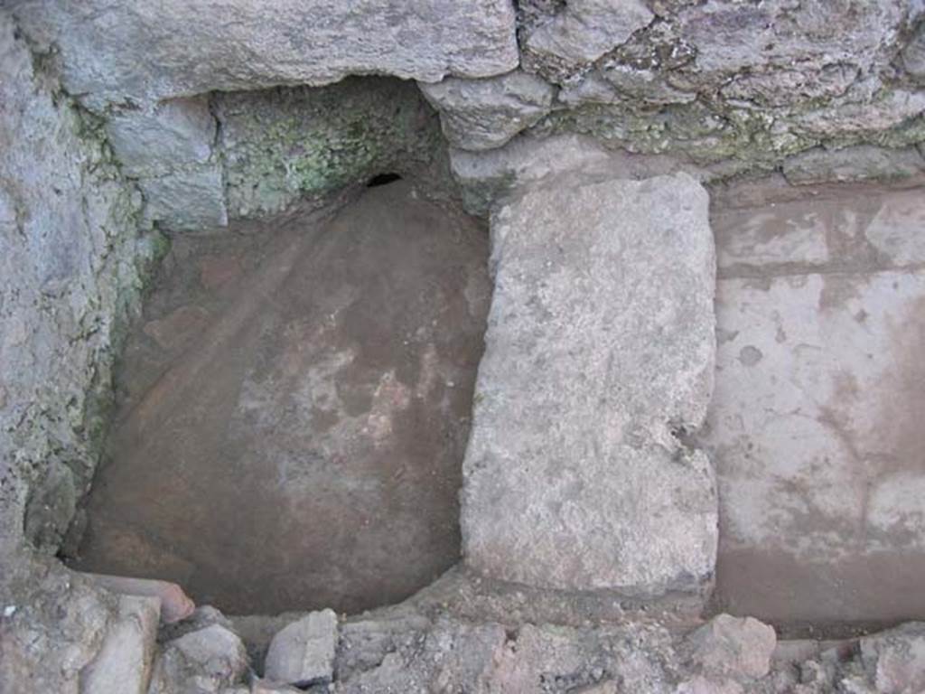 VI.11.6 Pompeii. July 2008. Looking west at latrine, and drain through wall onto vicolo. 
Photo courtesy of Barry Hobson.
