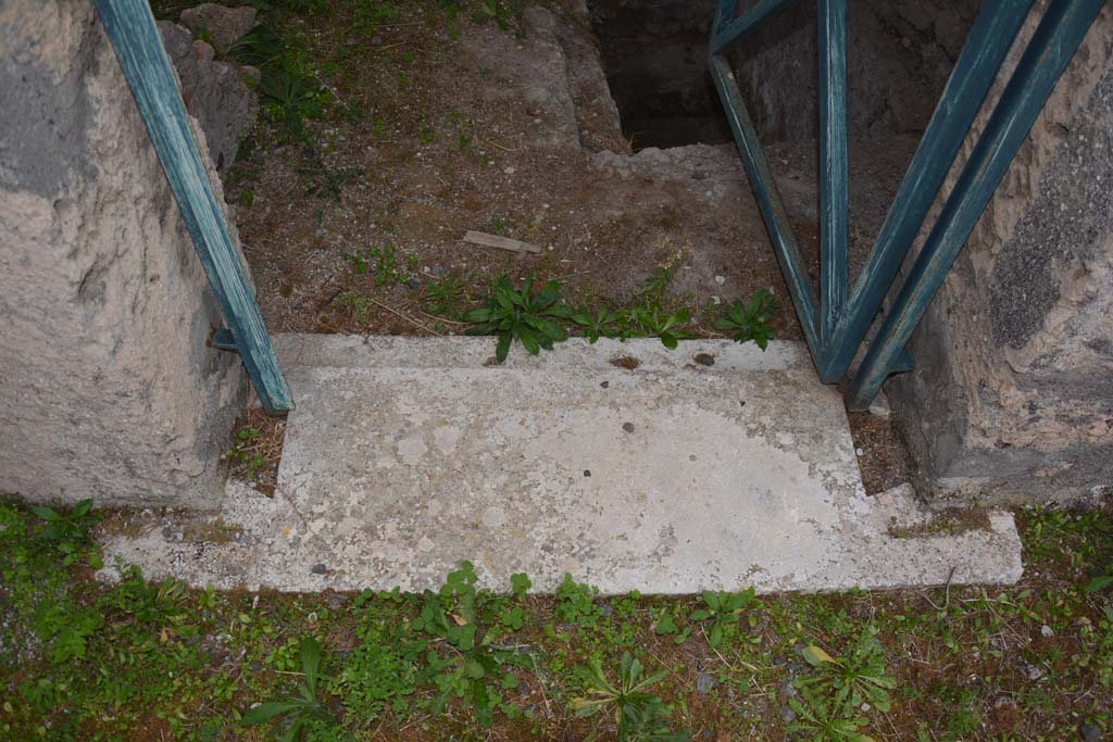 VI.11.9 Pompeii. October 2017. Room 2, doorway threshold. 
Foto Annette Haug, ERC Grant 681269 DCOR

