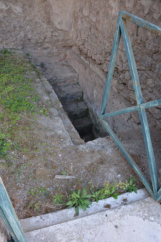 VI.11.9 Pompeii. October 2017. 
Room 2, looking towards south-west corner and steps to cellar, near west wall. 
Foto Annette Haug, ERC Grant 681269 DCOR


