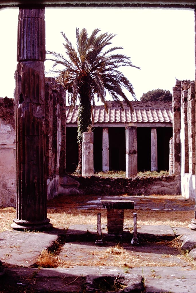 VI.11.10 Pompeii. 1974. 
Looking north across impluvium in atrium towards tablinum and peristyle. Photo by Stanley A. Jashemski.
Source: The Wilhelmina and Stanley A. Jashemski archive in the University of Maryland Library, Special Collections (See collection page) and made available under the Creative Commons Attribution-Non Commercial License v.4. See Licence and use details.
J74f0140
