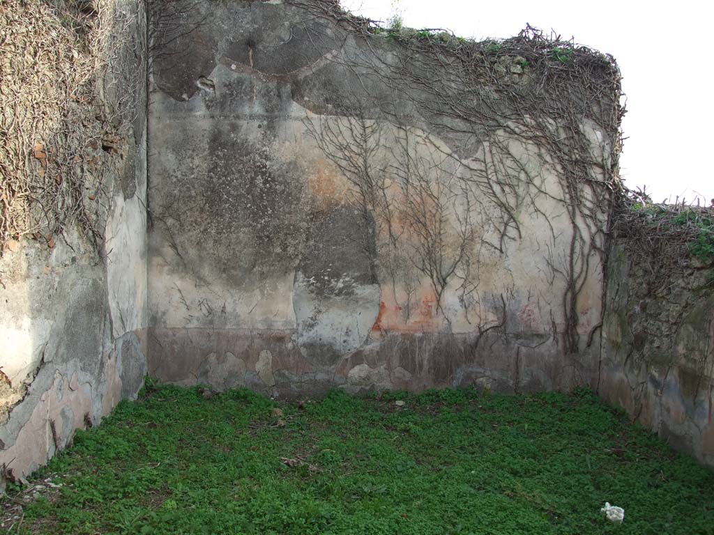 VI.11.19 Pompeii. December 2007. South wall of triclinium (7) on south side of atrium.  
The zoccolo was black, and in the central panel were painted plants with geometric patterns on either side of it.
The middle area of the wall was painted red with a painted central aedicule which was separated from the side panels by narrow painted compartments. The colour of the upper area of the wall was not distinguishable.
