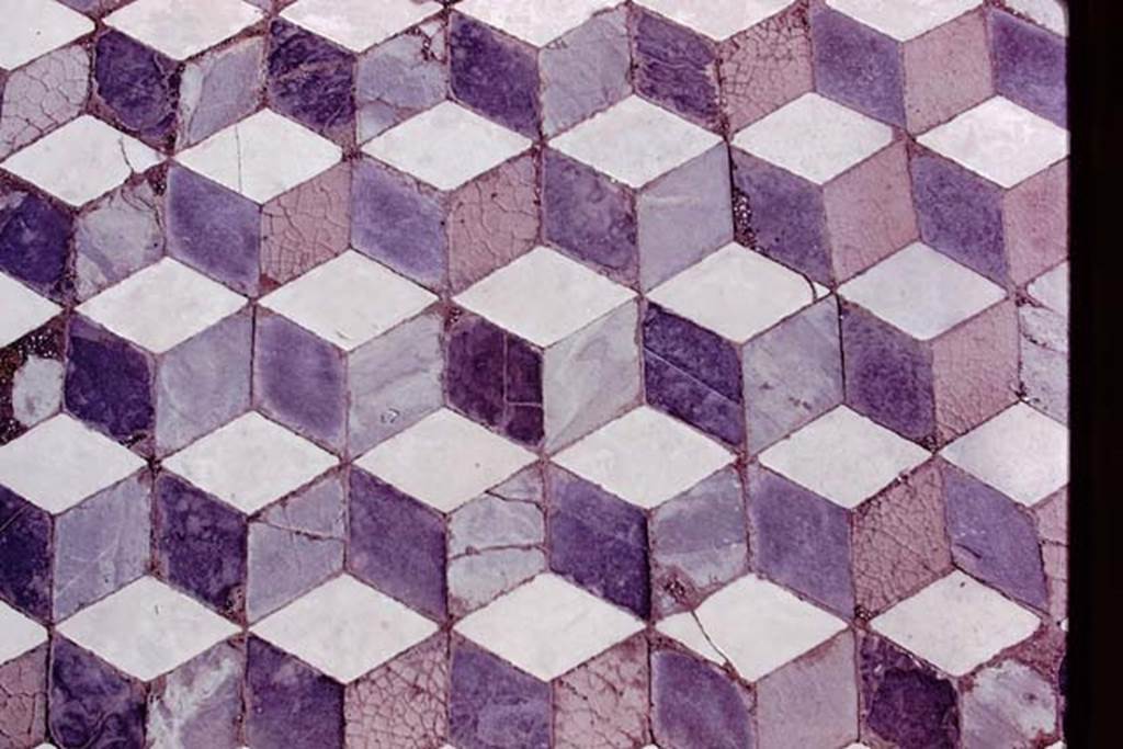 VII.7.5 Pompeii, 1978. Detail of a ‘cubed’ opus sectile floor, exact location not known. A similar floor exists in the Temple cella of VII.7.32. 
Photo by Stanley A. Jashemski.   
Source: The Wilhelmina and Stanley A. Jashemski archive in the University of Maryland Library, Special Collections (See collection page) and made available under the Creative Commons Attribution-Non-Commercial License v.4. See Licence and use details.
J78f0217 

