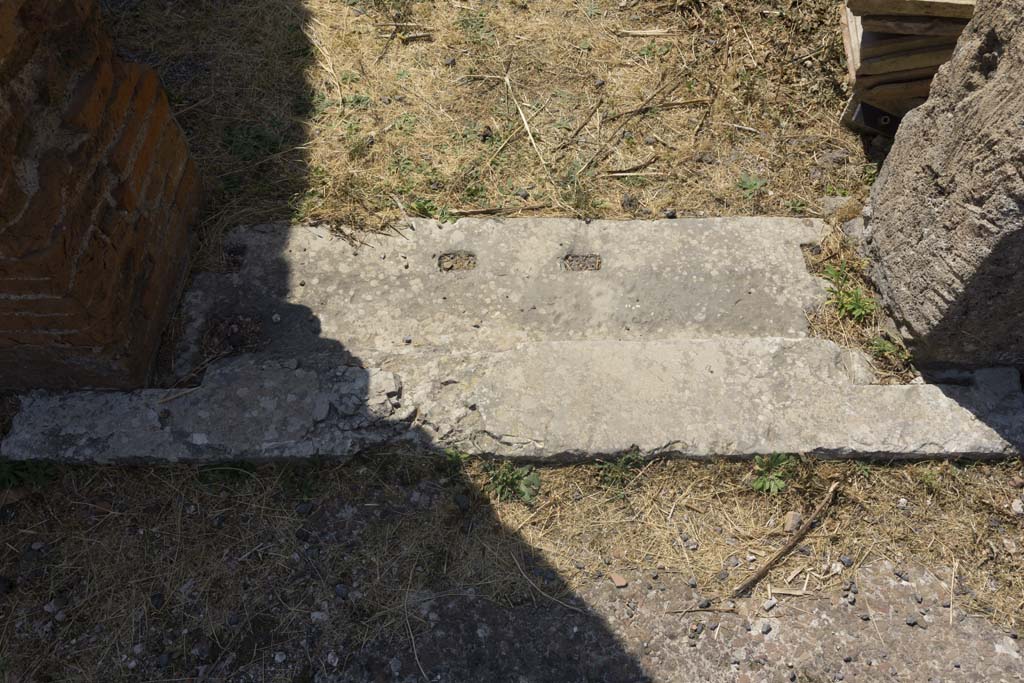 VI.12.5 Pompeii. 14th July 2017. Room 8, detail of threshold sill, from secondary atrium 7. 
Foto Annette Haug, ERC Grant 681269 DÉCOR.

