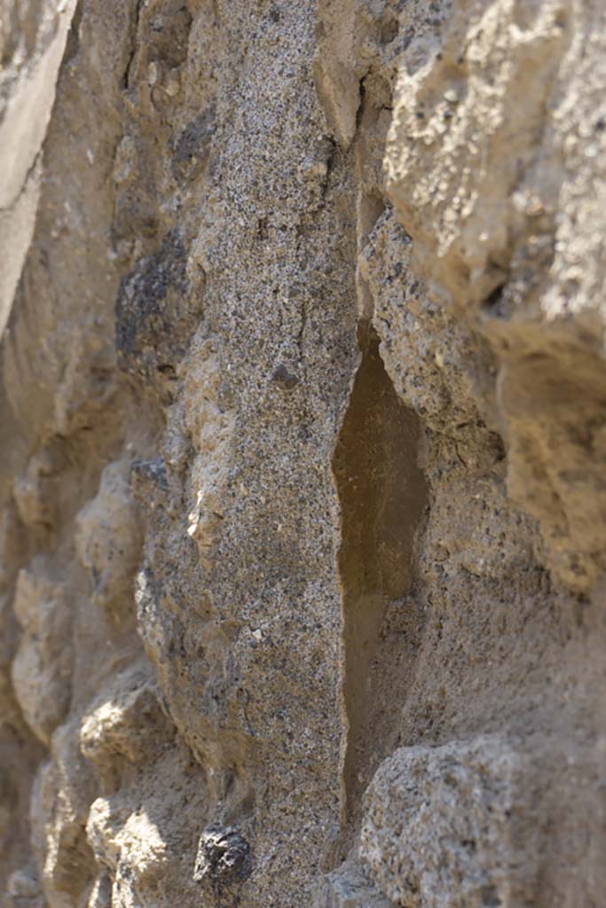  
VI.12.5 Pompeii. 14th July 2017. Room 15, detail from west wall in triclinium. 
Foto Annette Haug, ERC Grant 681269 DÉCOR.
