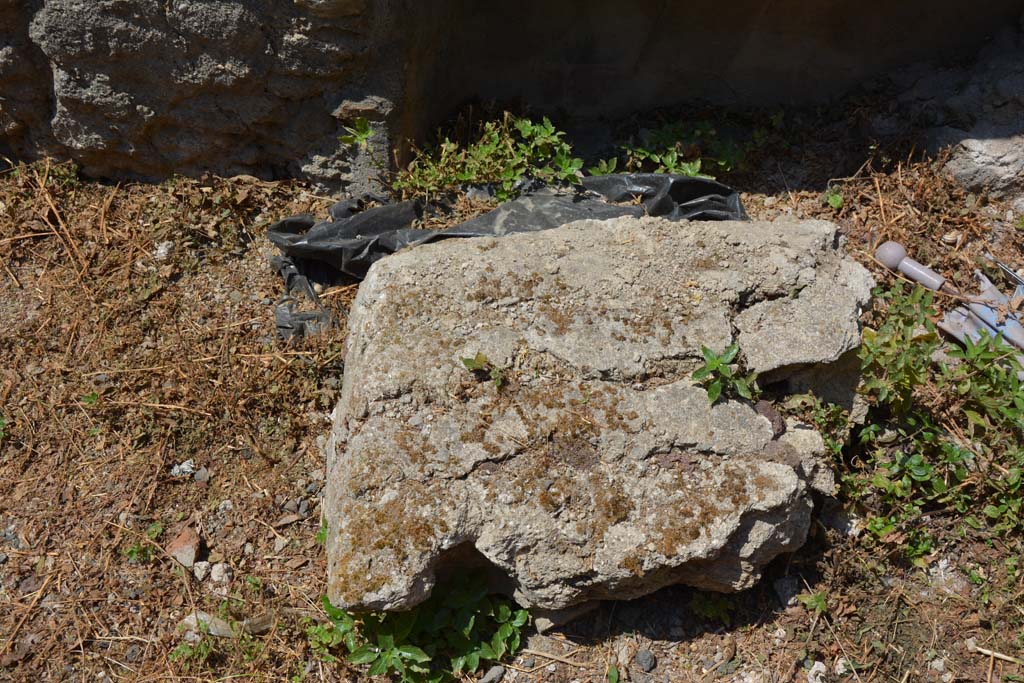 VI.12.5 Pompeii. 14th July 2017. Room 15, detail from floor level in north-west corner of triclinium. 
Foto Annette Haug, ERC Grant 681269 DÉCOR.
