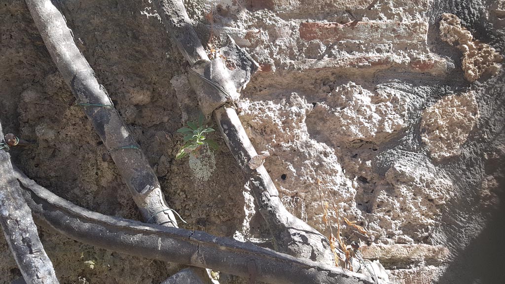 VI.13.16 Pompeii. August 2023. Detail of lead pipes on back north wall on south side of Vicolo di Mercurio. Photo courtesy of Maribel Velasco.