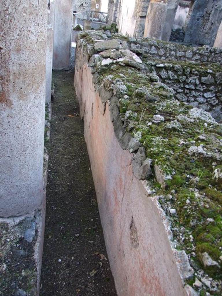 VI.14.22 Fullonica of Balbinus.  December 2007.  Room 12.  Looking east along plaster around north side of basins in peristyle.