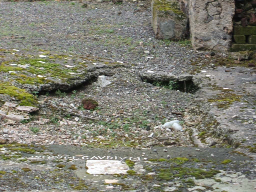 VI.14.39 Pompeii. December 2004. Remains of impluvium in atrium with mosaic.
Written on the margin of the impluvium was the motto LVCRVM GAVDIVM [CIL X 875].
According to Cooley, “Lucrum Gaudium” translated as “Profit, joy”.
See Cooley, A. and M.G.L., 2004. Pompeii: A Sourcebook. London: Routledge. (p.169)

