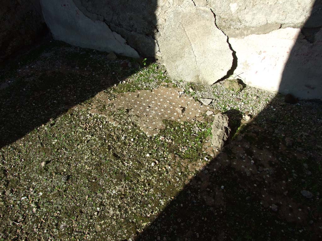 VI.14.43 Pompeii. December 2007. Room 5, remains of patterned floor in room on north side of atrium.  
According to Bragantini, the floor was formed of cocciopesto with white tesserae dots.
See Bragantini, de Vos, Badoni, 1983. Pitture e Pavimenti di Pompei, Parte 2. Rome: ICCD. (p.300, ambiente ‘8’)
