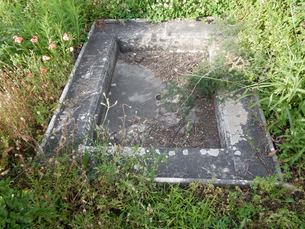 VI.14.43 Pompeii. June 2019. Room 14, garden area with marble fountain pool. Photo courtesy of Buzz Ferebee.