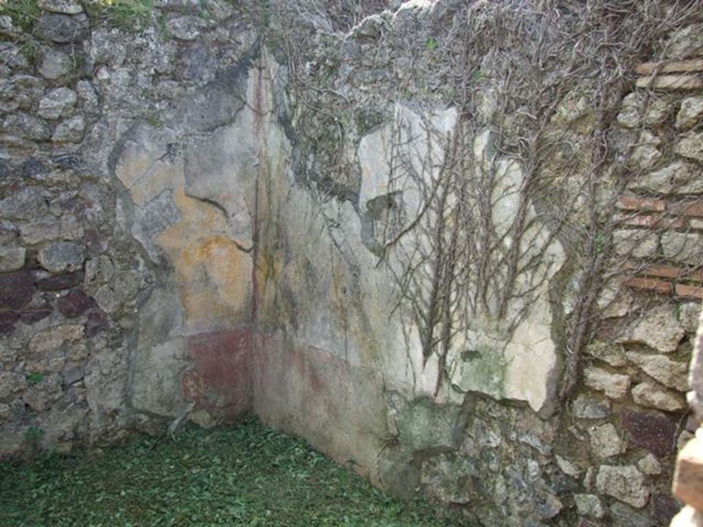 VI.15.5 Pompeii.  March 2009.  Room 26.  South west corner.