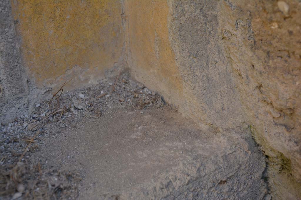 VI 15 5 Pompeii. March 2019. Room 1, detail of painted corner of lower south side of recess in atrium.
Foto Annette Haug, ERC Grant 681269 DÉCOR.

