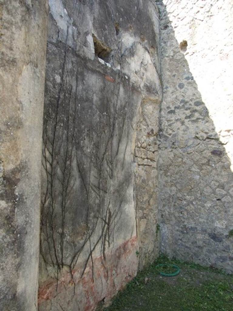 VI.15.5 Pompeii. March 2009. Room 4, north-west corner, and west wall with remains of plaster.

