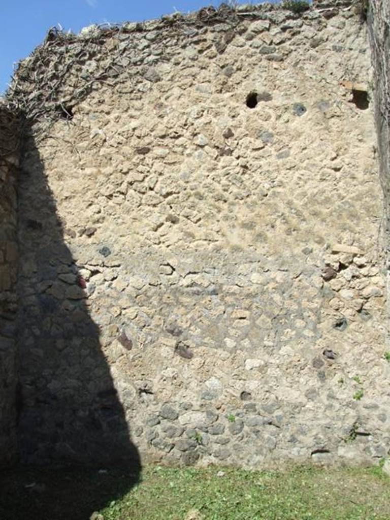 VI.15.5 Pompeii.  March 2009.  Room 5. North wall.