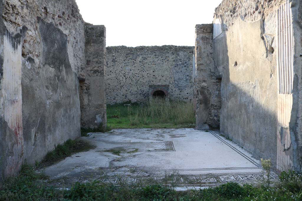 VI.15.5 Pompeii. December 2018. Looking west across mosaic flooring in tablinum. Photo courtesy of Aude Durand.