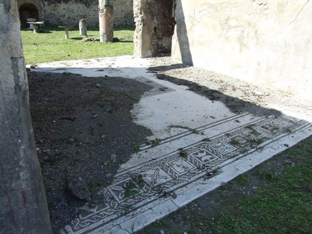 VI.15.5 Pompeii. March 2009. Room 7, coloured mosaic floor on east side of tablinum.