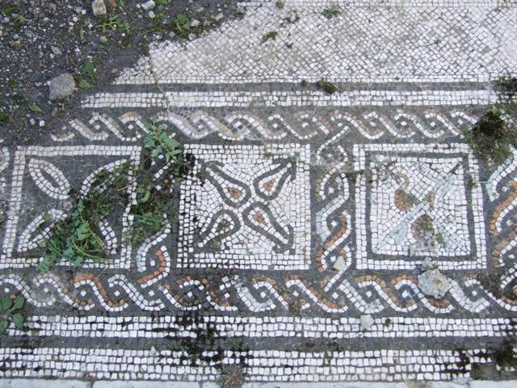 VI.15.5 Pompeii. March 2009. Room 7, coloured mosaic floor, detail starting from the south (left) side.