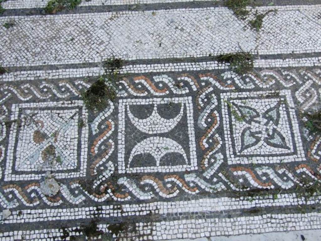 VI.15.5 Pompeii. March 2009. Room 7, coloured mosaic floor, detail starting from the south (left) side.