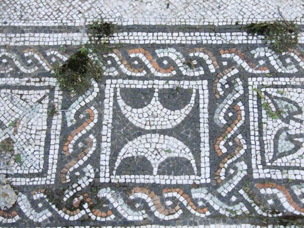 VI.15.5 Pompeii. March 2009. Room 7, coloured mosaic floor, detail starting from the south (left) side.