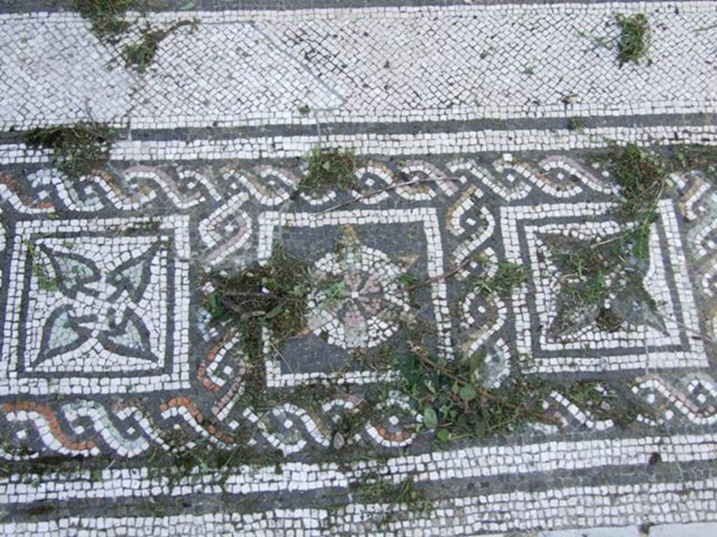 VI.15.5 Pompeii. March 2009. Room 7, coloured mosaic floor, detail starting from the south (left) side.