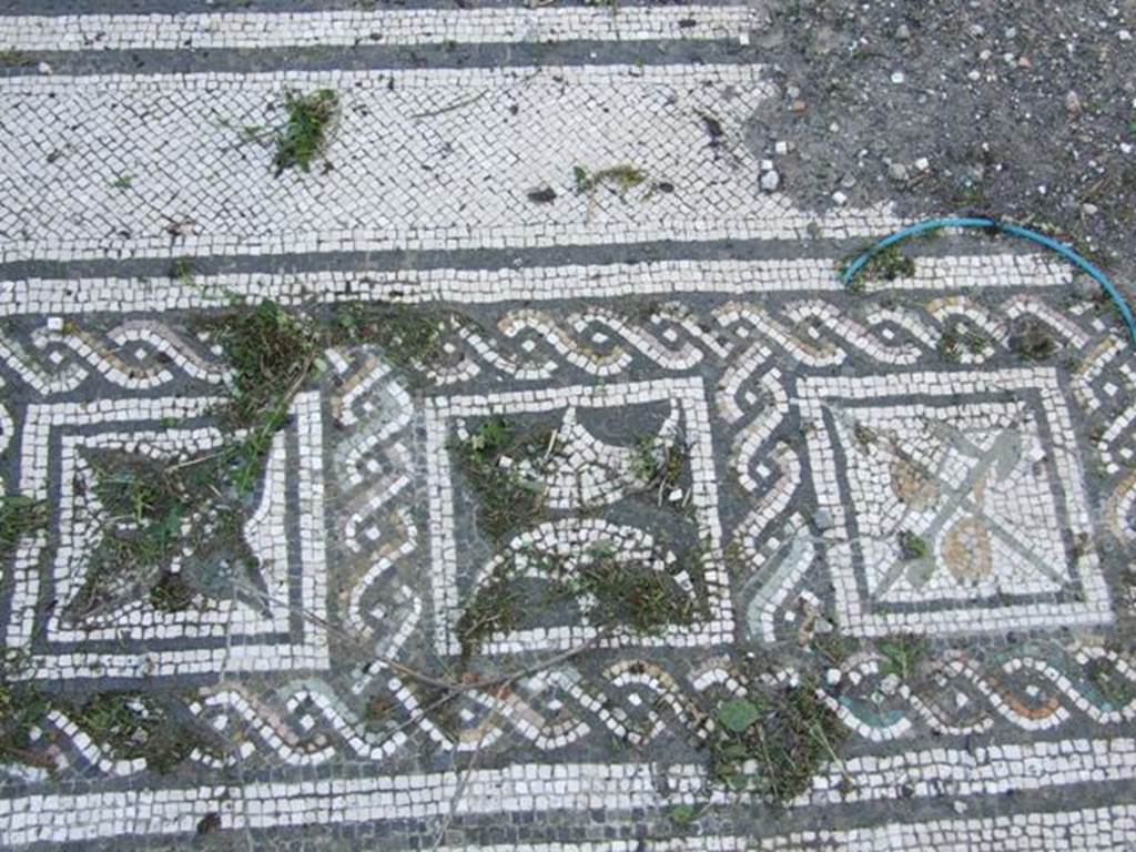 VI.15.5 Pompeii. March 2009. Room 7, coloured mosaic floor, detail starting from the south (left) side.