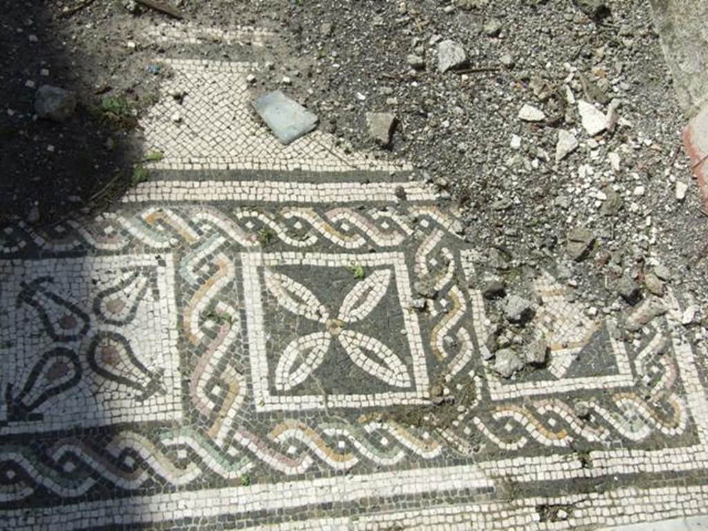 VI.15.5 Pompeii. March 2009. Room 7, coloured mosaic floor, detail starting from the south (left) side and finishing her on the north (right).