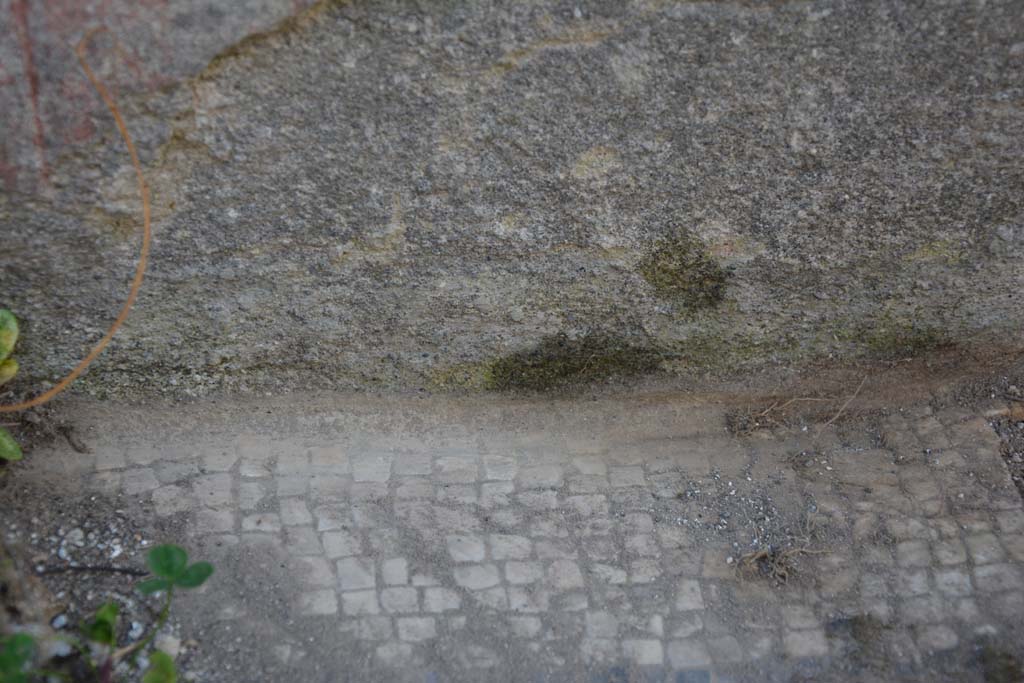 VI 15 5 Pompeii. March 2019. Tablinum 7, detail of mosaic flooring near south wall.
Foto Annette Haug, ERC Grant 681269 DCOR.
