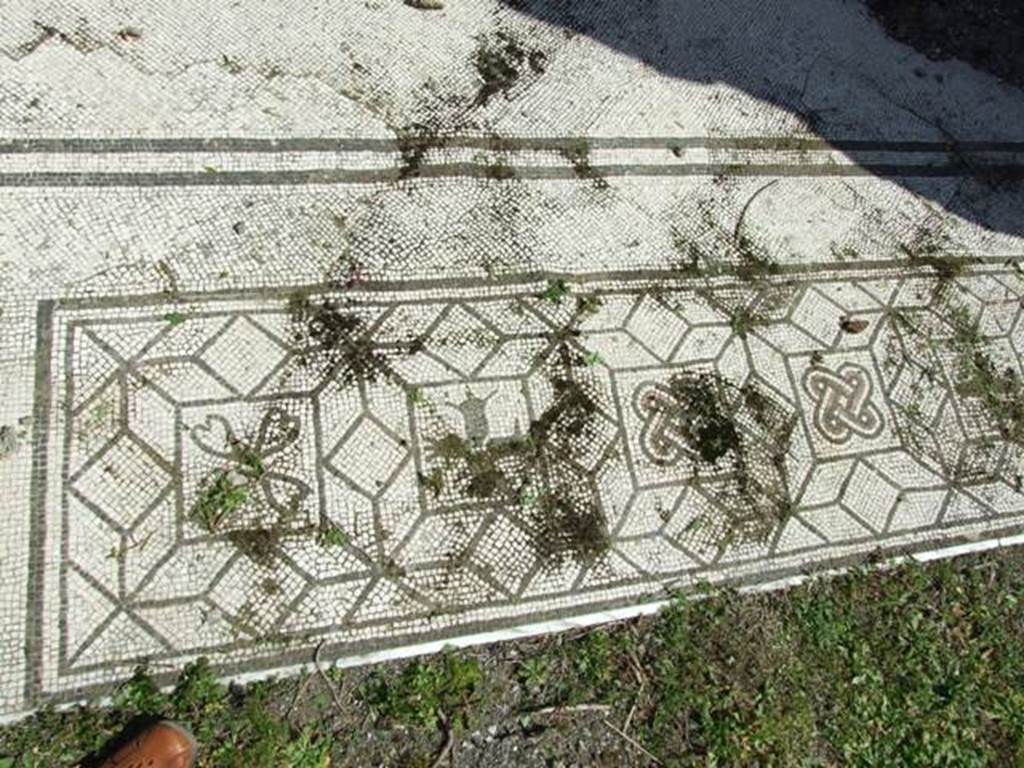 VI.15.5 Pompeii. March 2009. Room 7, detail of mosaic at north end of west side of tablinum.