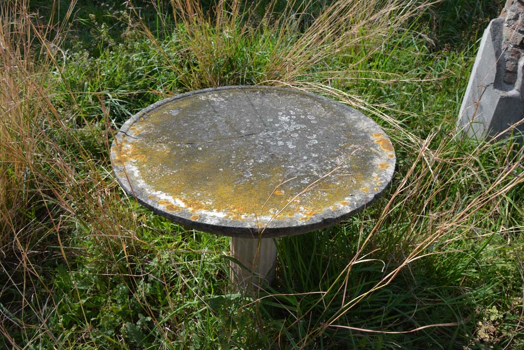 VI 15 5 Pompeii. March 2019. Garden area 11, detail of top of table in garden area.
Foto Annette Haug, ERC Grant 681269 DÉCOR.
