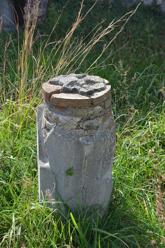 VI 15 5 Pompeii. March 2019. 
Garden area 11, remaining small base of a column, possibly from the pergola of the summer triclinium, found covered in green stucco.
Foto Annette Haug, ERC Grant 681269 DÉCOR.

