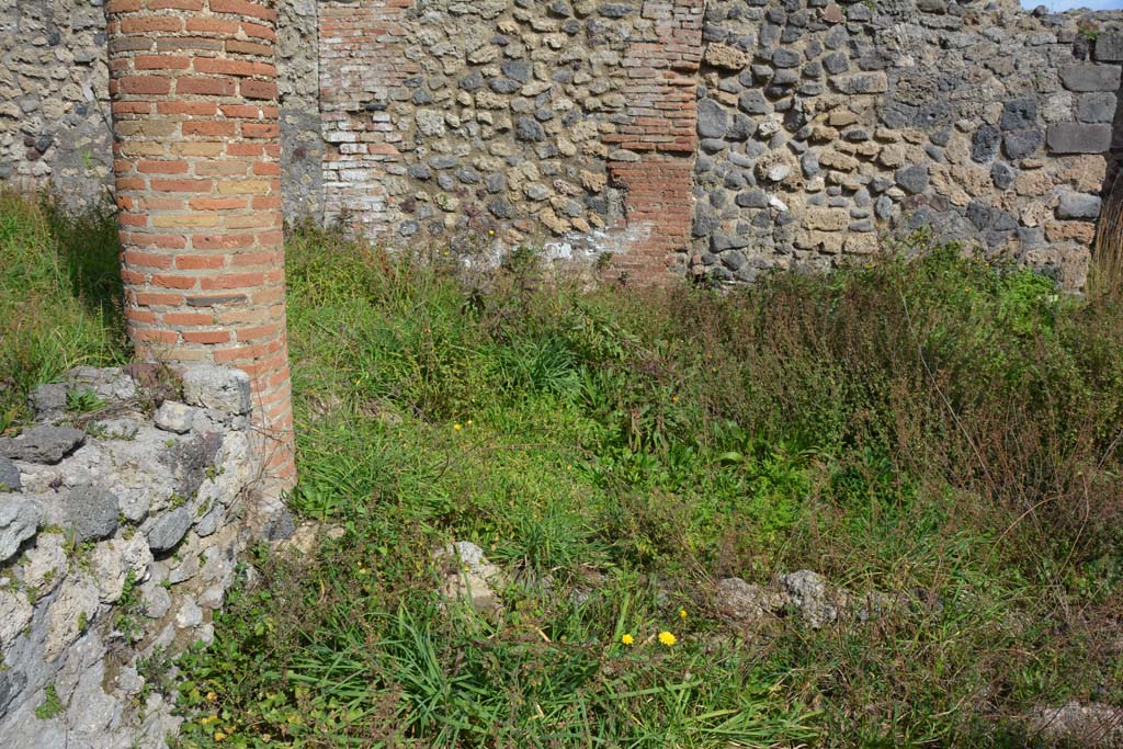 VI 15 5 Pompeii. March 2019. East portico at north end, looking east.
Foto Annette Haug, ERC Grant 681269 DÉCOR.
