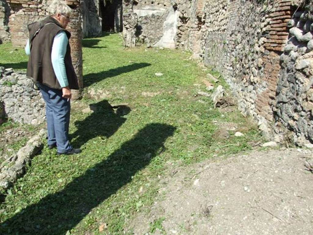 VI.15.5 Pompeii.  March 2009. Room 12.  North end of east portico.