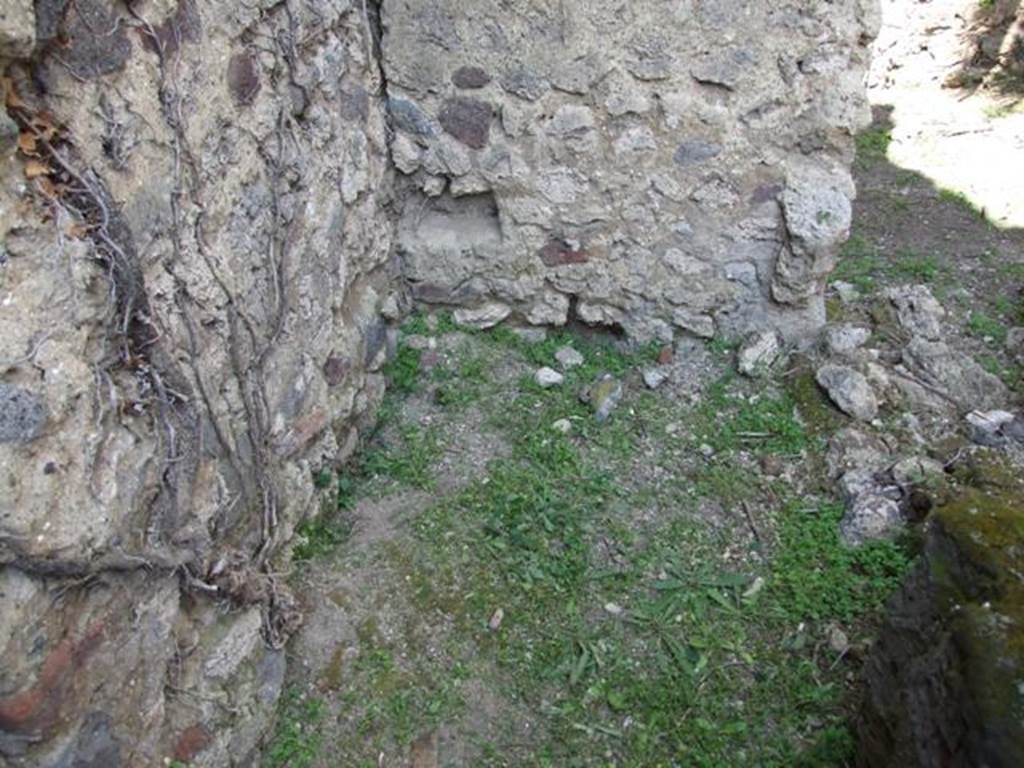 VI.15.5 Pompeii. March 2009. Room 21, latrine, looking north.According to Hobson, the latrine in a room to the north of blocked entrance 24, had slots in the walls for a latrine seat. In Hobson’s book there is a photo with west and east wall, showing two slots for latrine seat. In the above photo, the east wall has collapsed as well as its slot. The slot in the west wall, north-west corner, is still visible. See Hobson, B. 2009. Pompeii, Latrines and Down Pipes. Oxford, Hadrian Books, (p.278, and 280)
