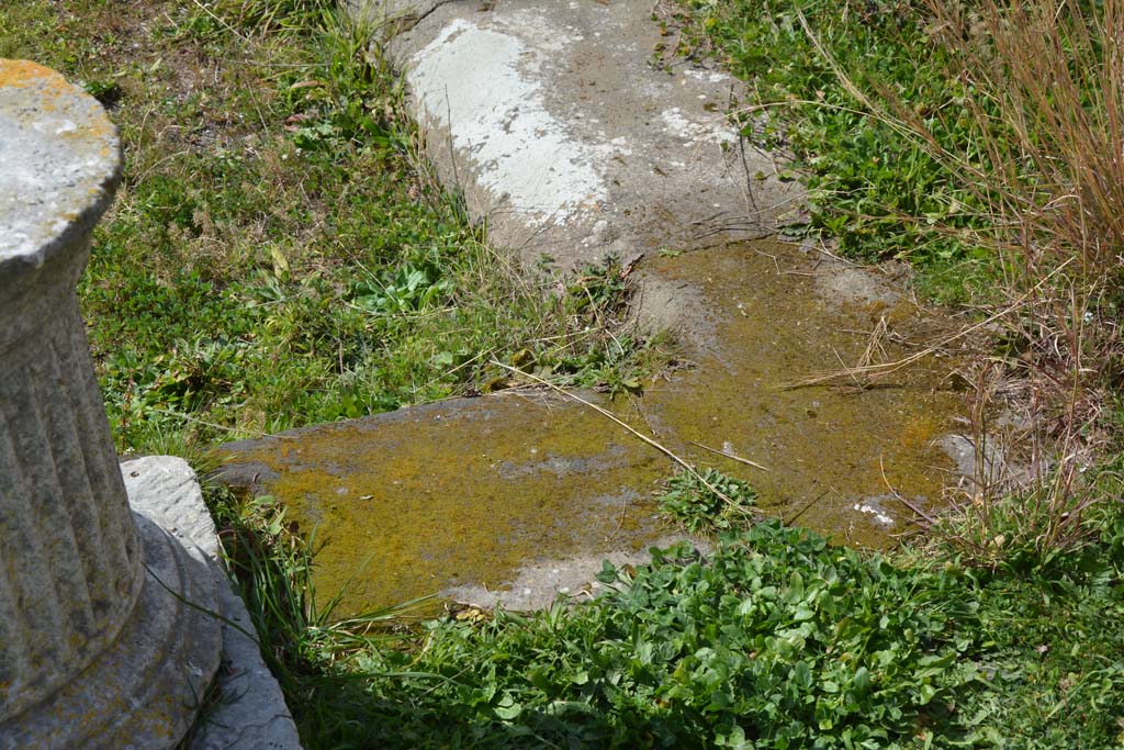 VI 15 5 Pompeii. March 2019. Room 1, detail from impluvium in north-east corner.
Foto Annette Haug, ERC Grant 681269 DÉCOR.

