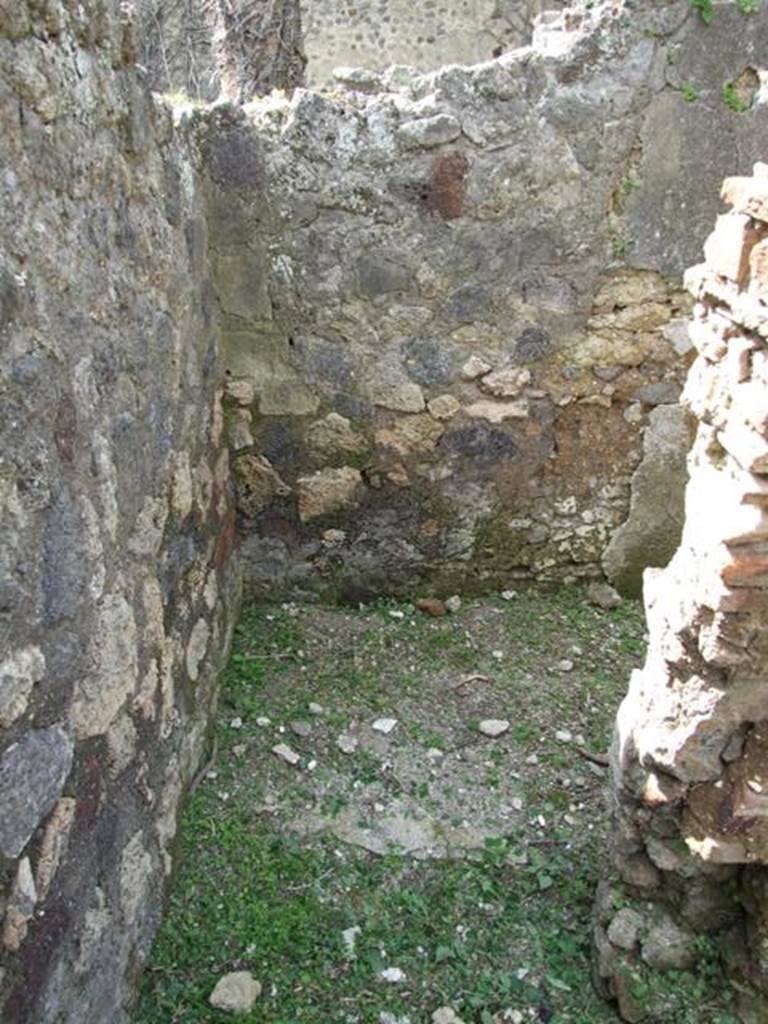 VI.15.6 Pompeii. March 2009. Room 9.  West wall.