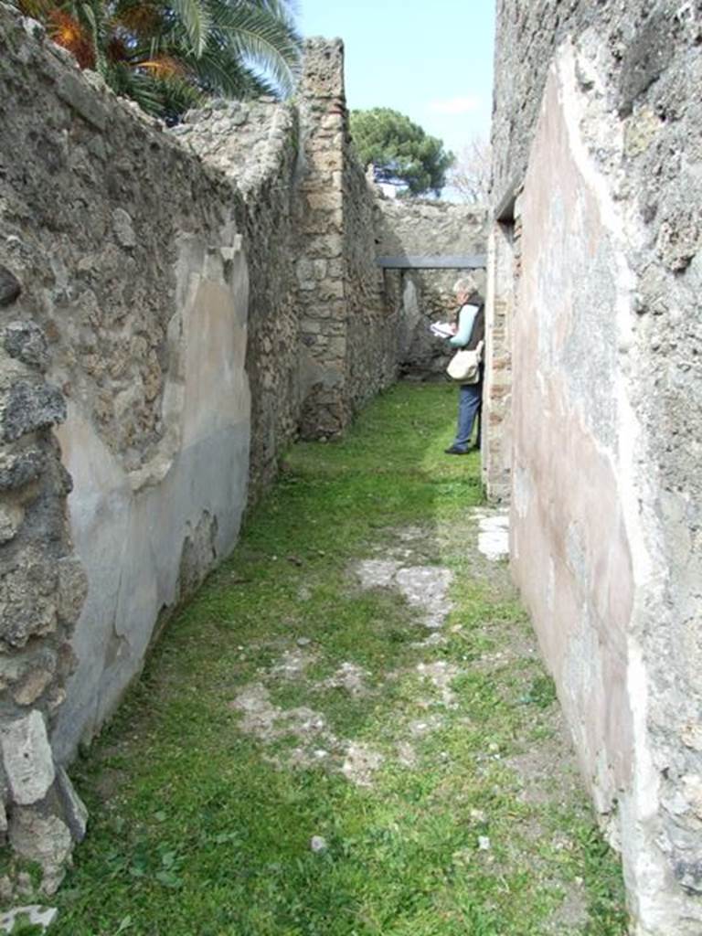 VI.15.6 Pompeii. March 2009. Room 10, corridor leading north. According to NdS, the corridor had a floor of crushed brick strewn with flakes of various coloured marble. The walls were decorated with a black background, partitioned in panels. In the central panel on the west wall was a painting, but only the lower part remained. In the middle of the painting could be seen a throne with golden feet, and on which was a male figure, sitting turned to the left. Only his legs remained, covered with a mantle of red-cinnabar. His sandaled feet were resting on a panther or tiger, lying on the ground. Nearby, and perhaps leaning on one of the arms of the throne, was a club. Sogliano thought there was not enough remaining to identify the painting. In the middle of the panel on the east wall, a flying swan with the usual ribbon in its beak, could be seen. See Notizie degli Scavi, January 1897, (p.32)
